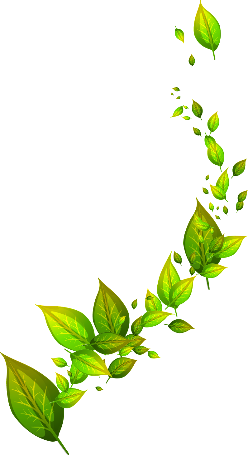 Green Leafs Free Transparent Image HD PNG Image