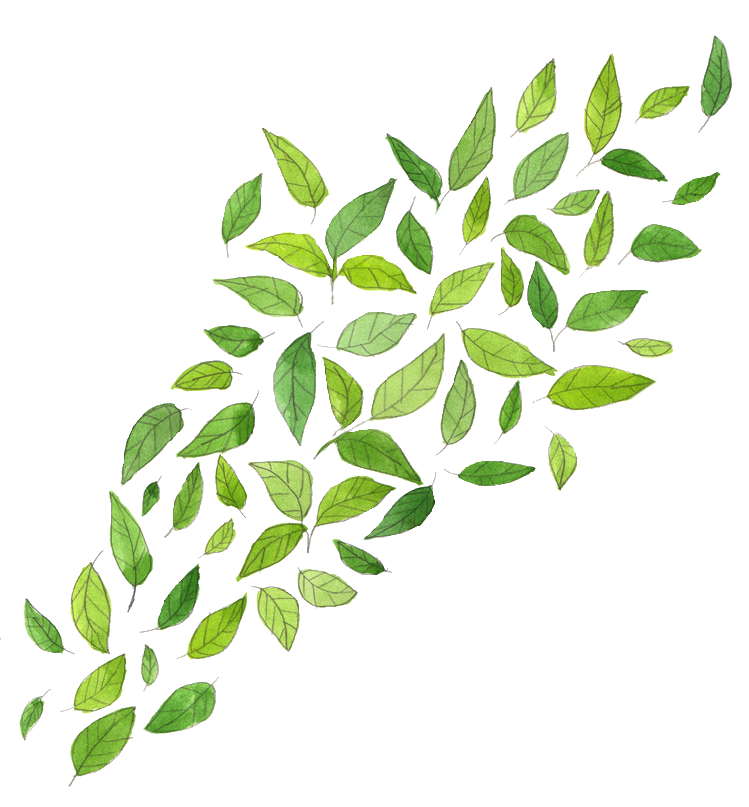 Green Leaf Images Free Clipart HD PNG Image