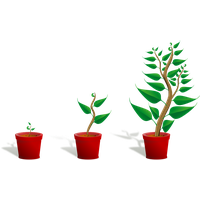 Growing Plant HD Image Free PNG PNG