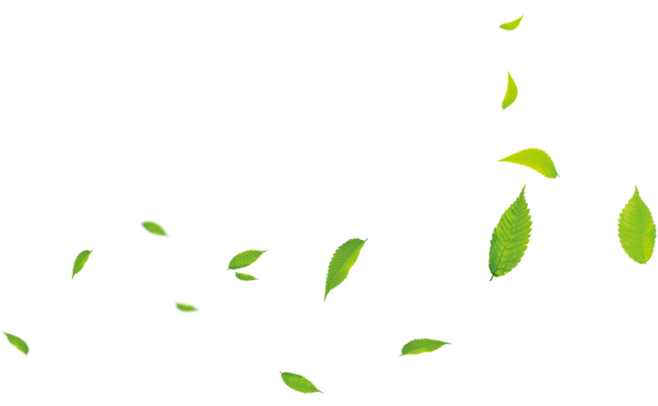 Small Leaves Green Cartoon Download Free Image PNG Image