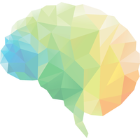 Brain Circle Leaf Human Neuroscience PNG Free Photo