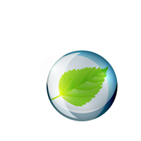 Water Pic Drop Leaf Dew PNG