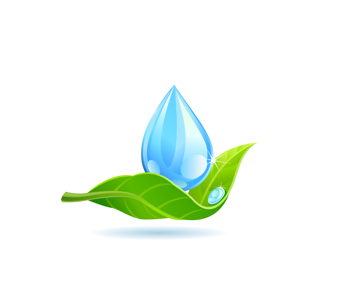 Green Leaf Logo png download - 888*830 - Free Transparent Ecology png  Download. - CleanPNG / KissPNG