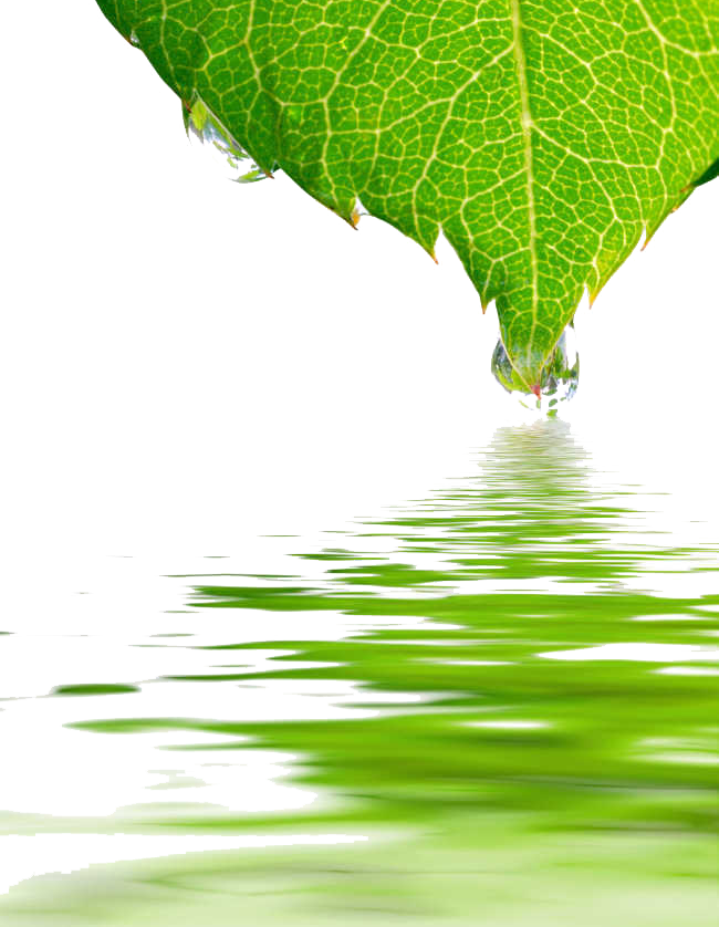 Water Images Drop Leaf Dew PNG Image