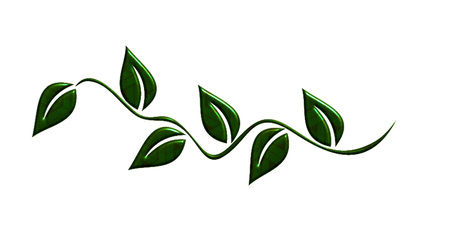 Leaves Green HD Image Free PNG Image