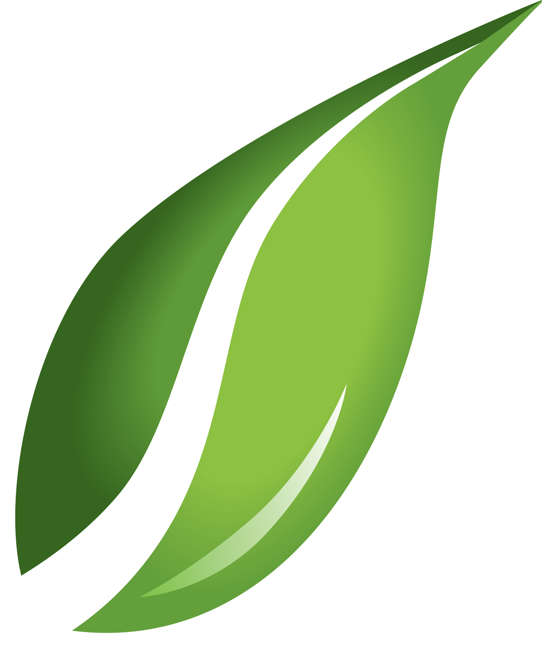 Single Green Leaves Free PNG HQ PNG Image