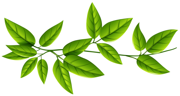 Leaves Free Download Png PNG Image