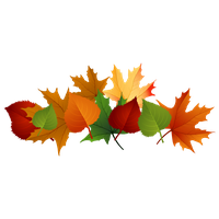 Download Leaves Free PNG photo images and clipart | FreePNGImg