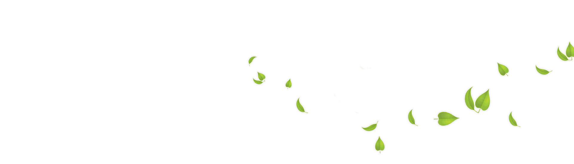 Green Leaves Transparent Background PNG Image