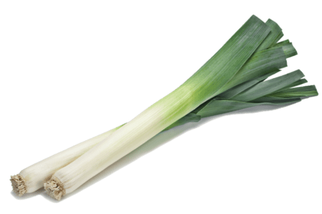 Leek Transparent PNG Image
