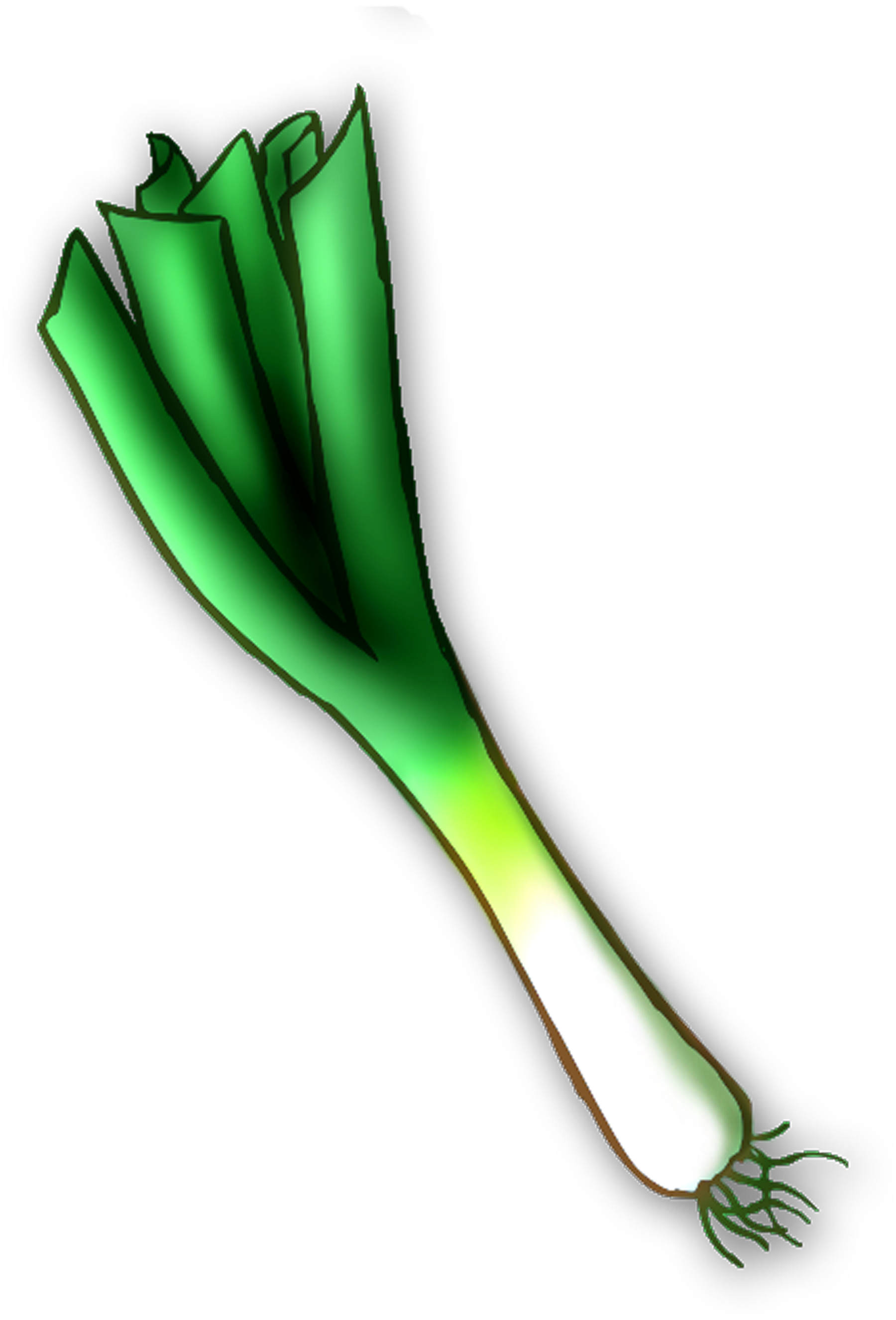 Leek Transparent PNG Image