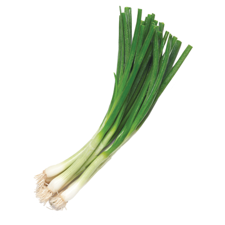 Leek Transparent PNG Image