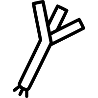 Leek PNG