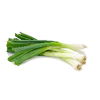 Leek PNG