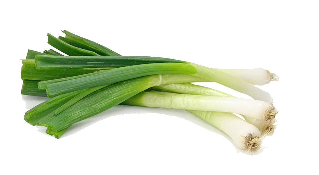 Leek Transparent PNG Image