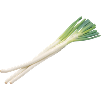 Leek PNG