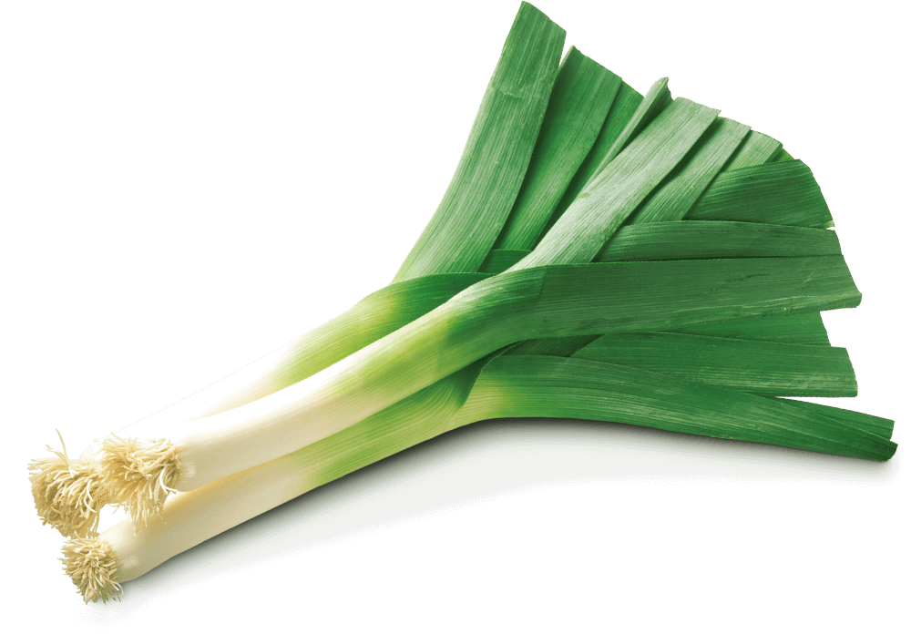 Leek Transparent PNG Image