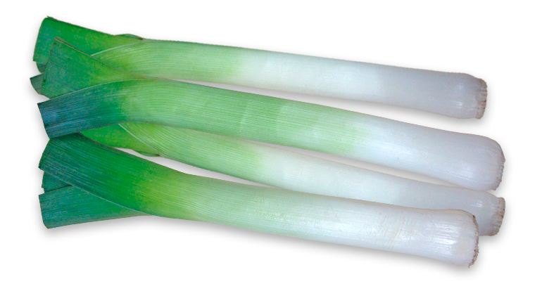 Leek Transparent PNG Image