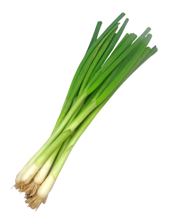 Leek Transparent PNG Image