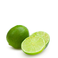 download lime file hq png image freepngimg download lime file hq png image