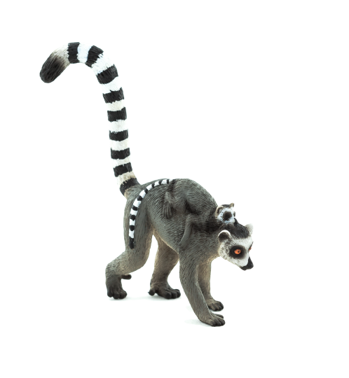 Lemur Transparent PNG Image