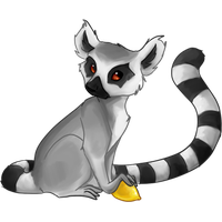 Lemur Transparent PNG Image