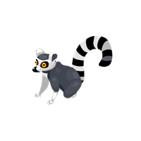 Lemur PNG
