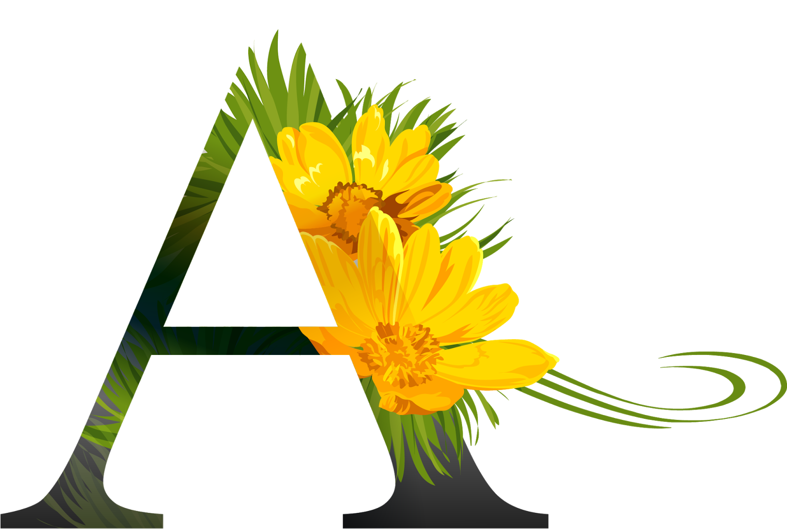 Alphabet Flower Photos Download HD PNG Image
