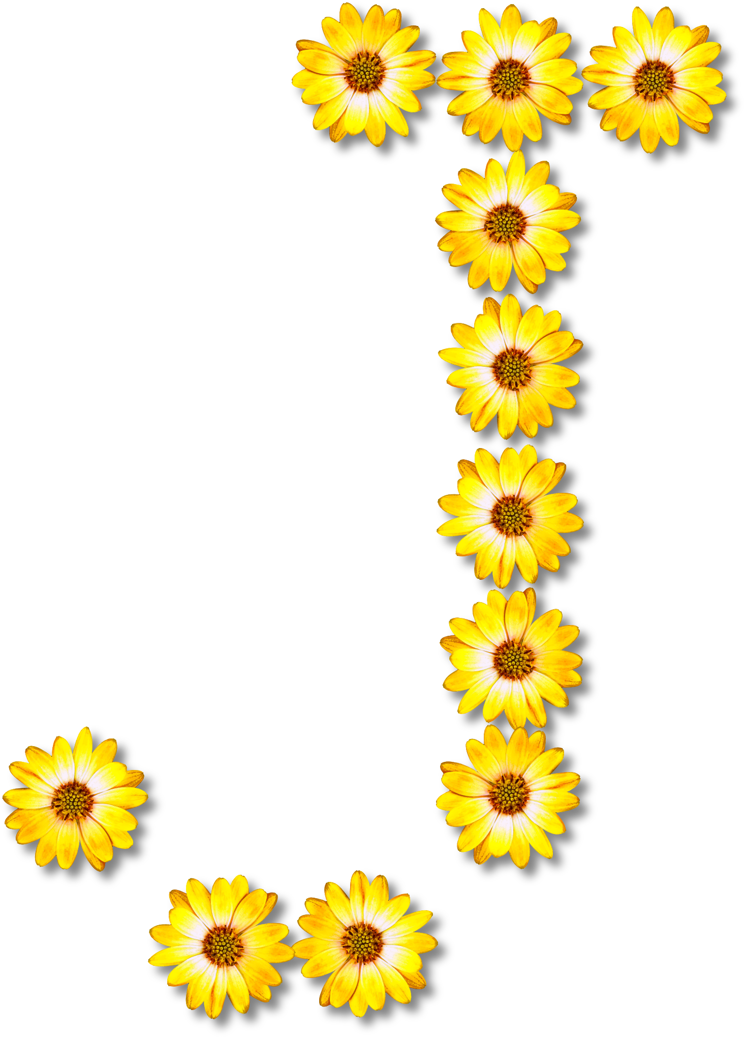 Alphabet Flower Free Download Image PNG Image