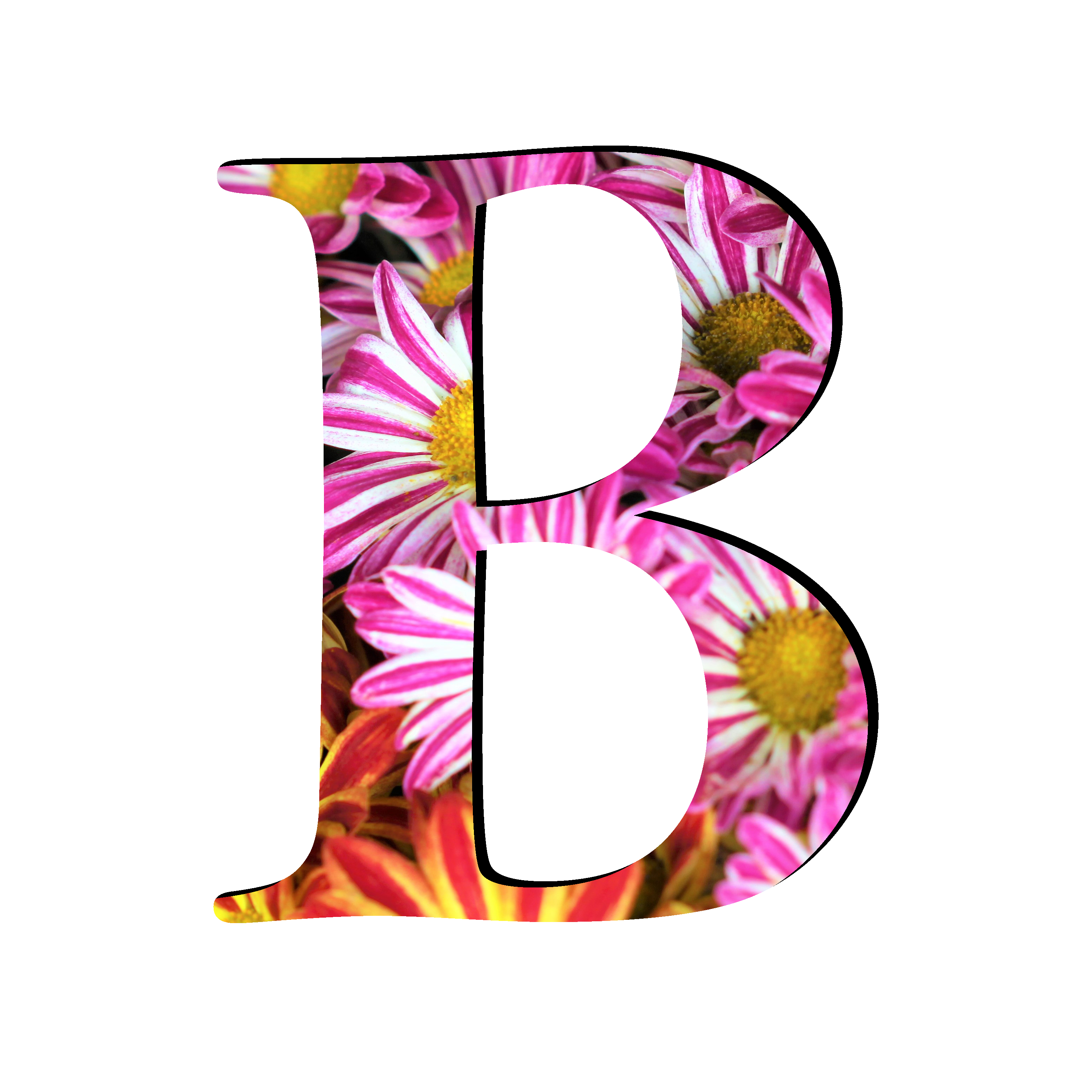 Picture B Letter Free PNG HQ PNG Image
