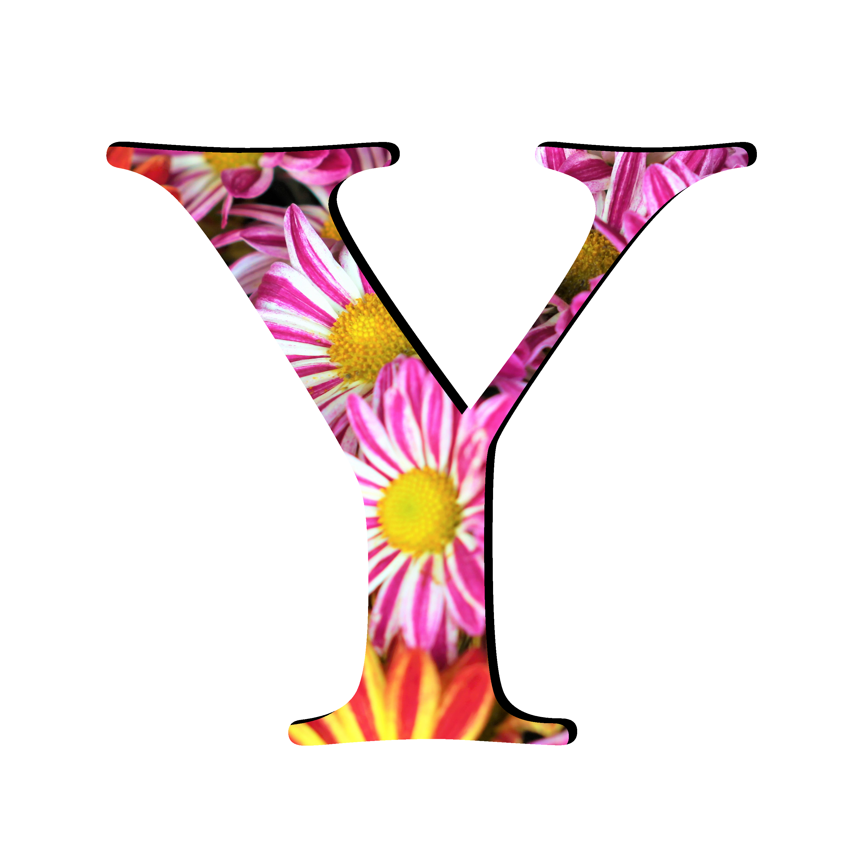 Y Picture Letter Free Photo PNG Image