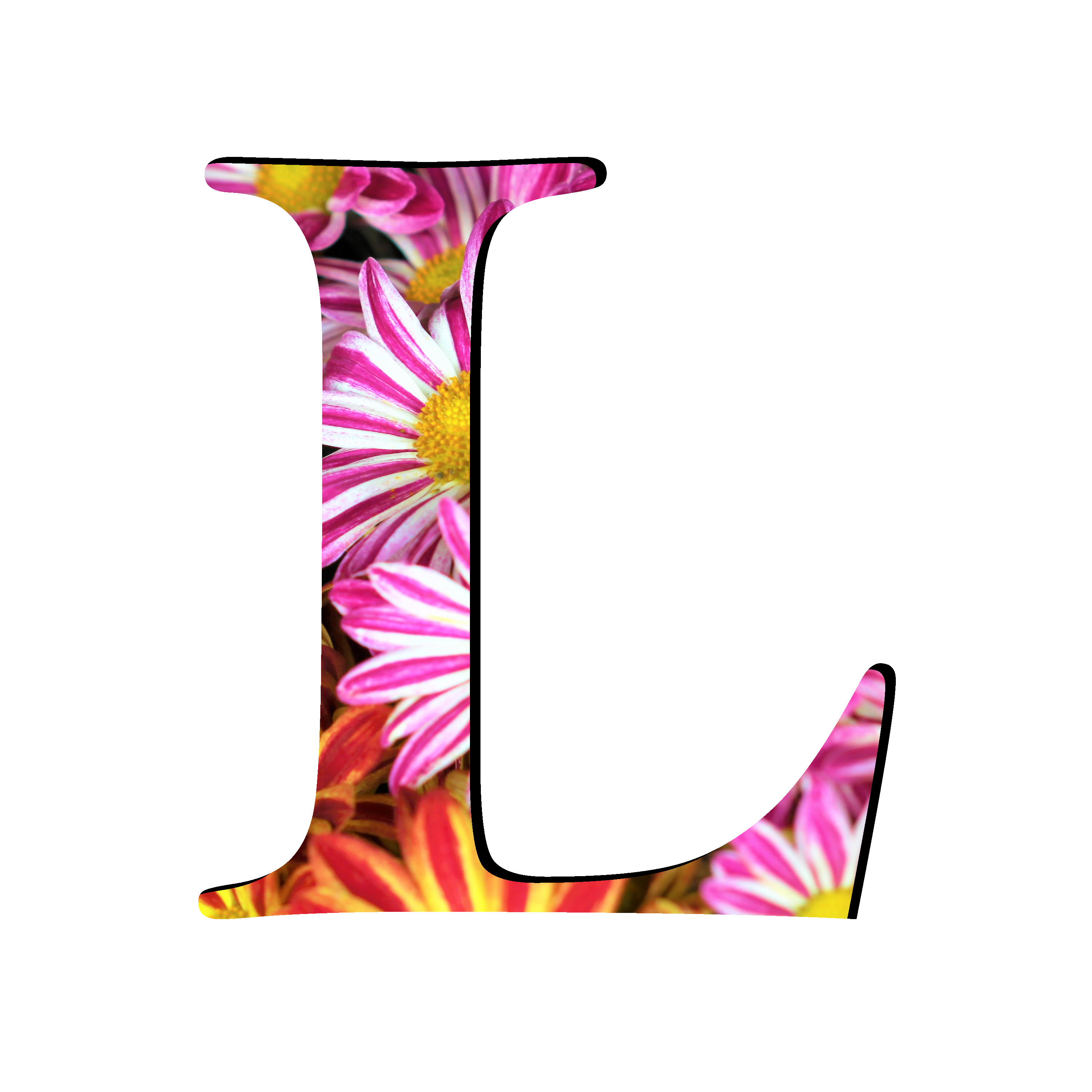 Picture L Letter Free PNG HQ PNG Image