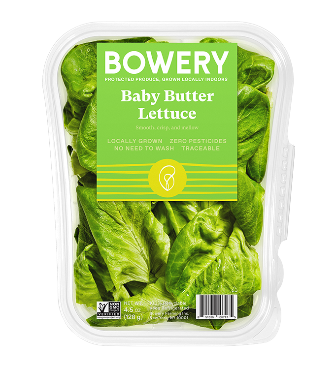 Lettuce Organic Butterhead Free PNG HQ PNG Image