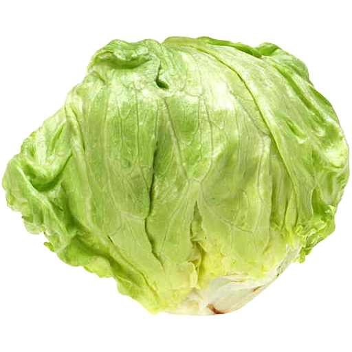 Lettuce Green Butterhead HD Image Free PNG Image