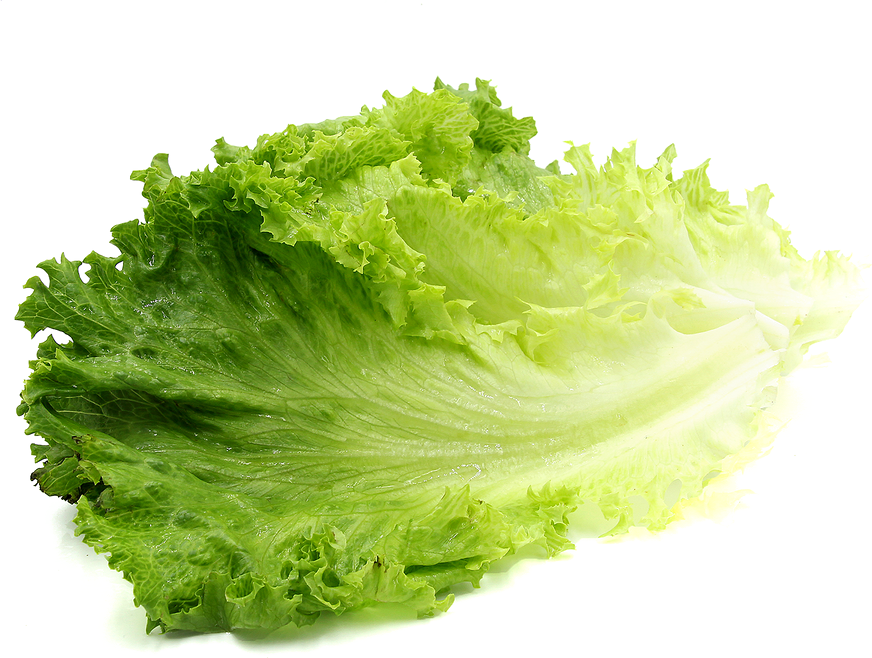 Green Organic Lettuce Free Download PNG HD PNG Image