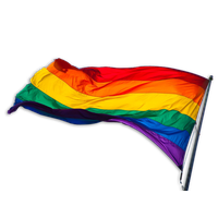 Lgbt flag PNG