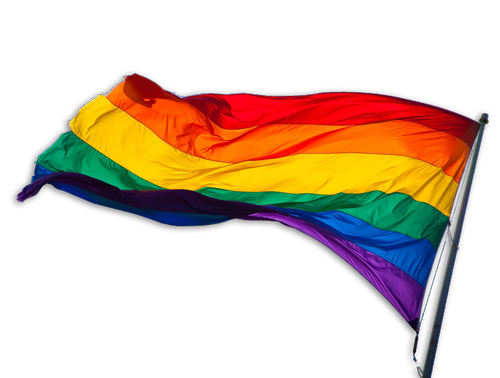 Lgbt flag Transparent PNG Image