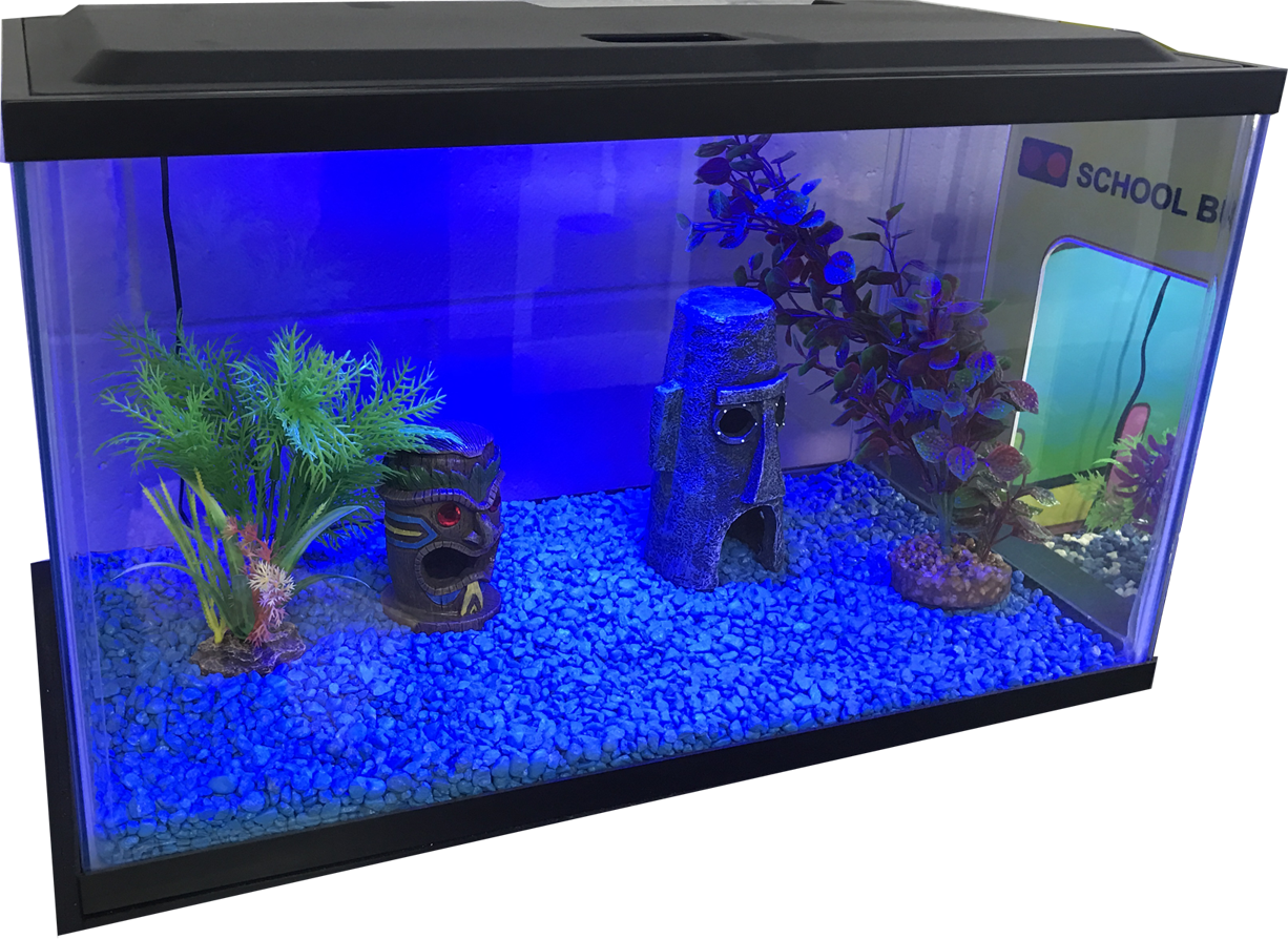 Blue Light Fish Tank Free Download PNG HD PNG Image