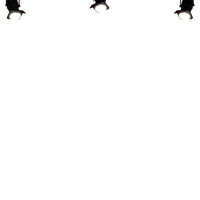Light Spot Show PNG Download Free PNG