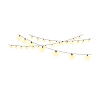 Lights garland PNG