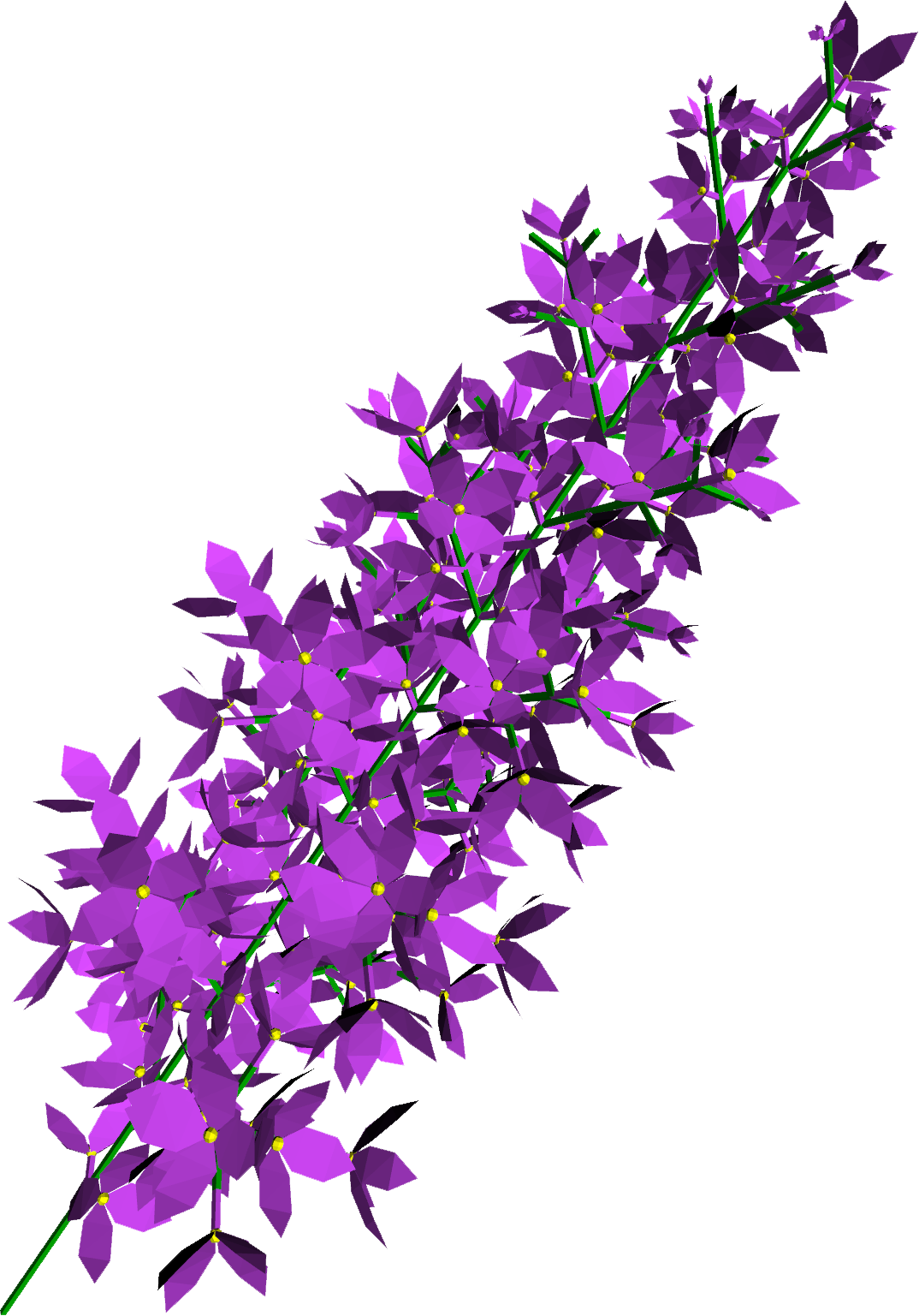 Lilac Transparent PNG Image