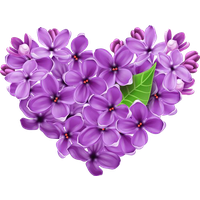 Lilac Transparent Background PNG Image