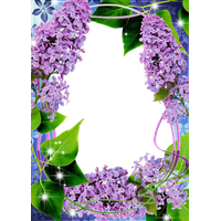 Lilac Transparent PNG Image