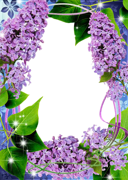 Lilac Transparent PNG Image