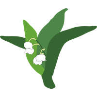 Lily Of The Valley Transparent Image Transparent HQ PNG Download ...