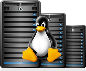 Linux Hosting Png Pic PNG Image