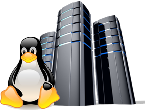 Linux Hosting Free Download Png PNG Image