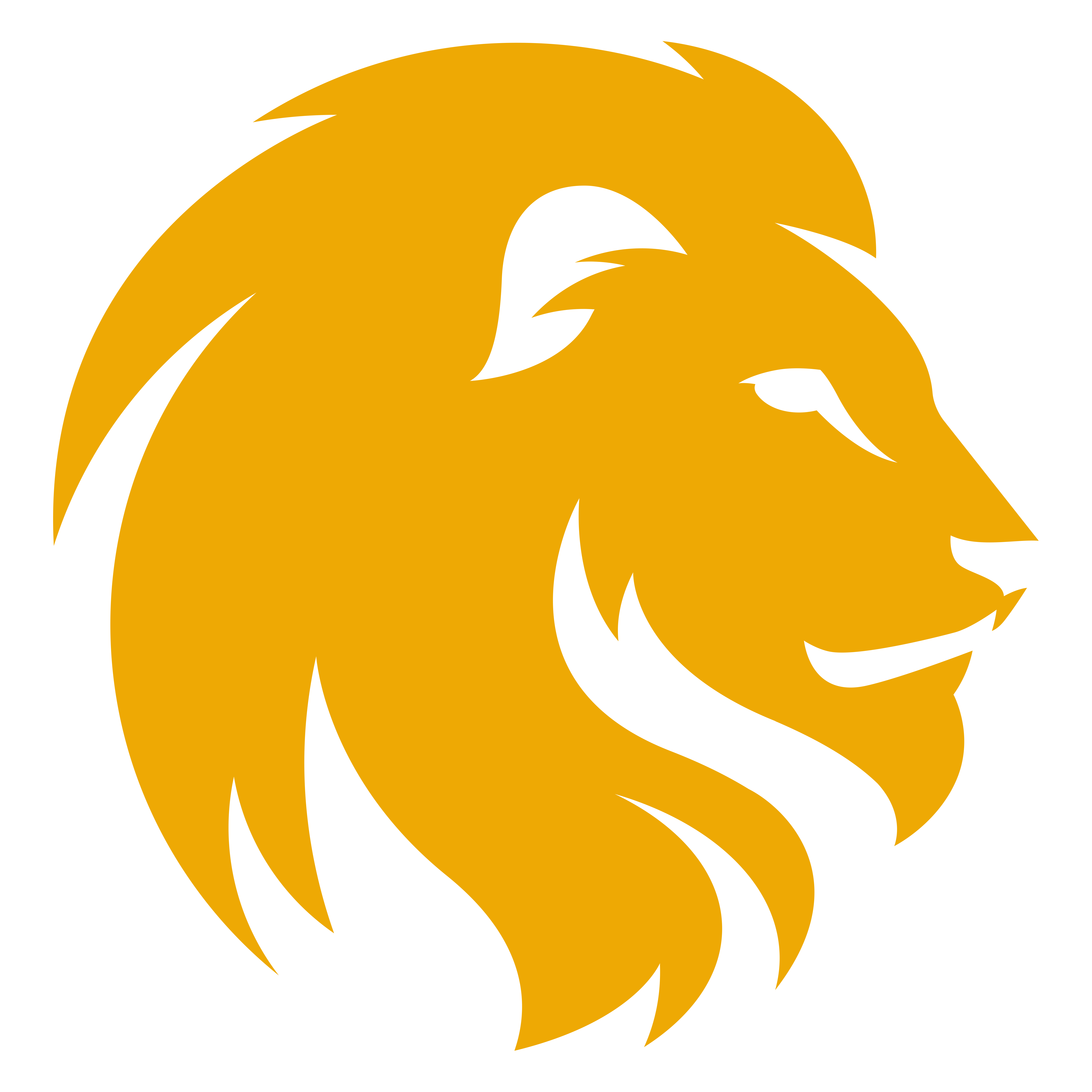 Эмблема с прозрачным фоном. Лев. Голова Льва. Лев иконка. Логотип голова Льва.