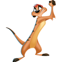 Timon PNG