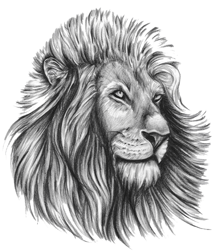 Lion Tattoo Free Download Png Transparent PNG Image